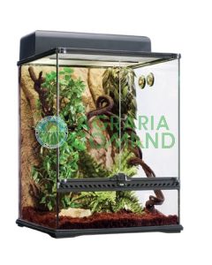 KIT HÁBITAT SELVA MEDIANA KIT HÁBITAT SELVA MEDIANA